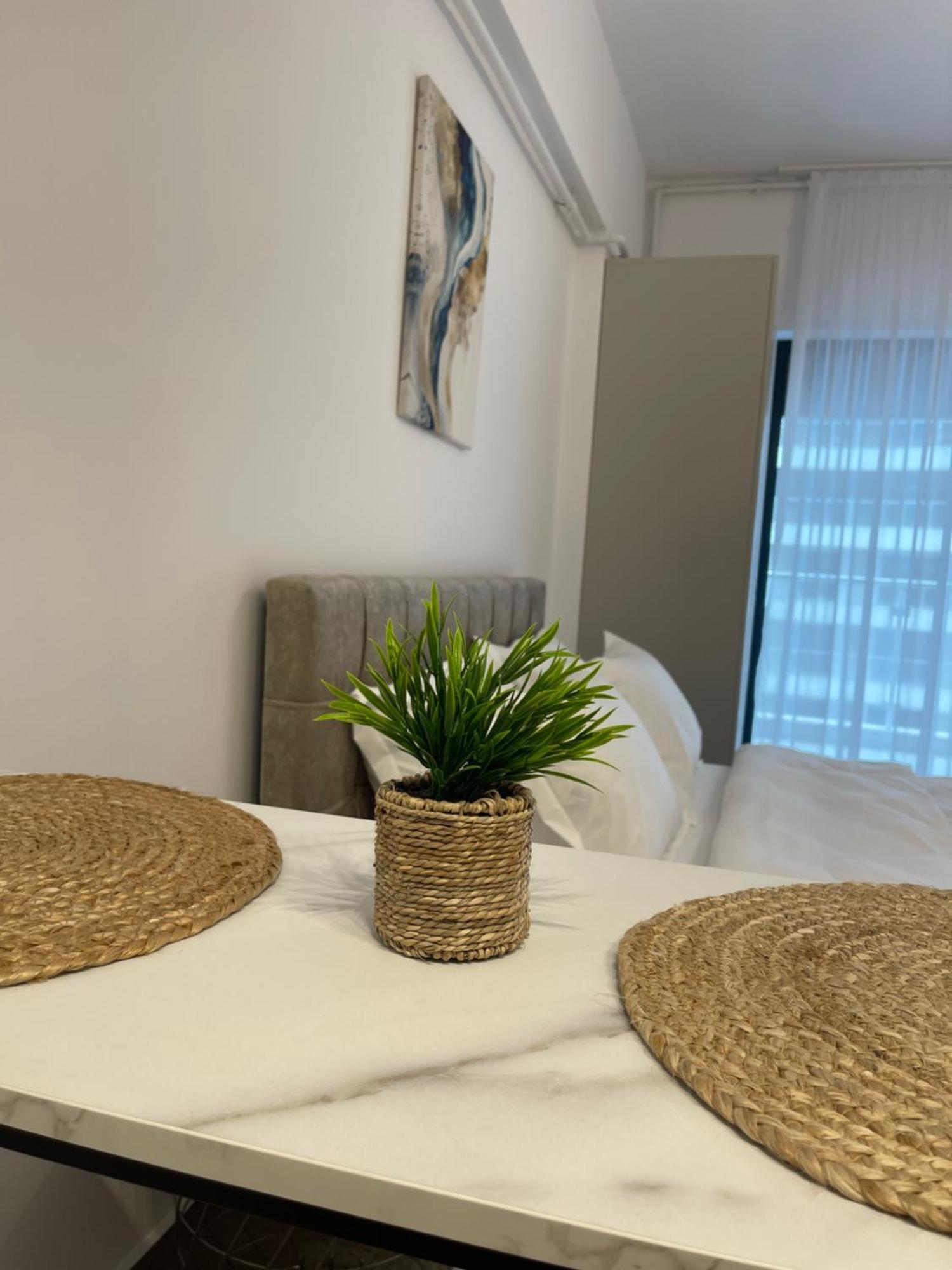 Del Mar Vista Lägenhet Mamaia Exteriör bild